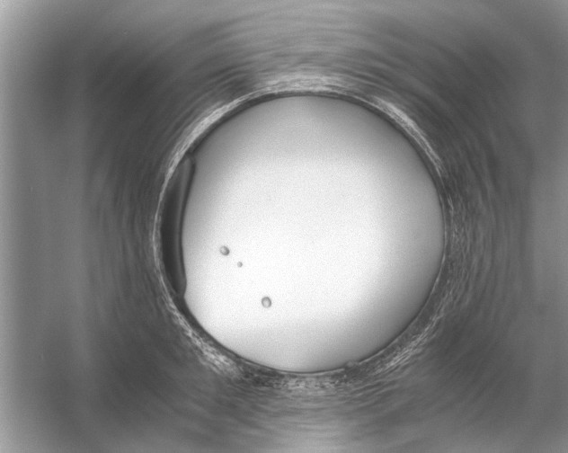 X0000056000901200509162314