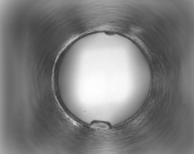 X0000056000902200509162314