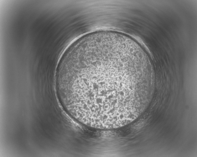 X0000056000903200509162314