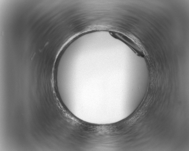 X0000056000904200509162314