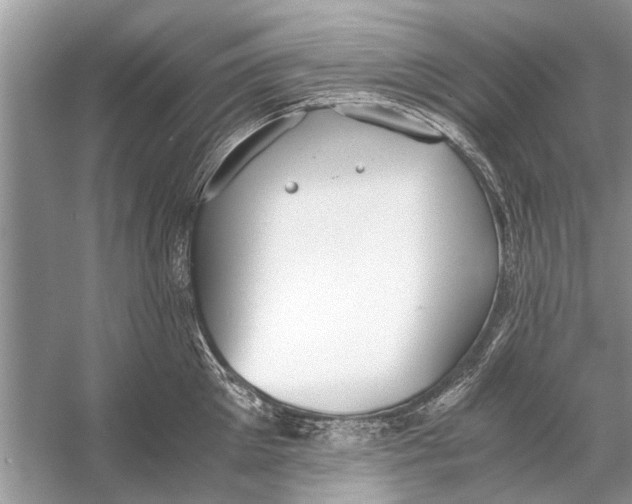 X0000056000905200509162314