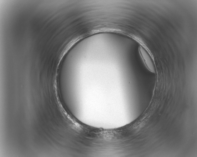 X0000056000906200509162314