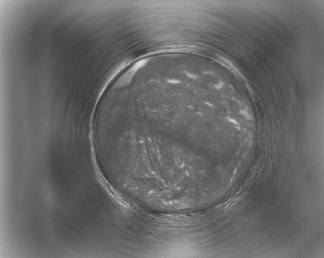 X0000056000907200509162314