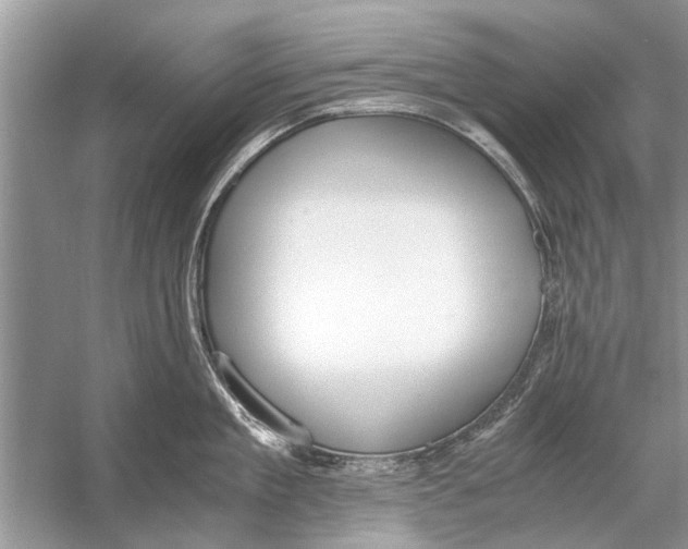 X0000056000909200509162314