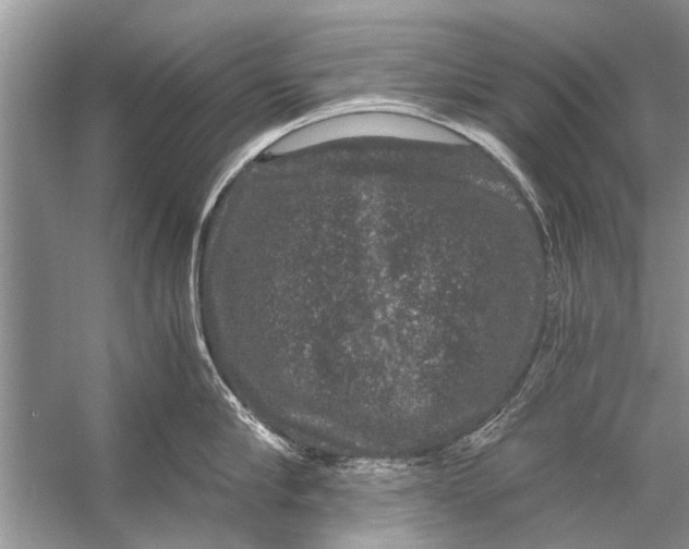 X0000056000910200509162314