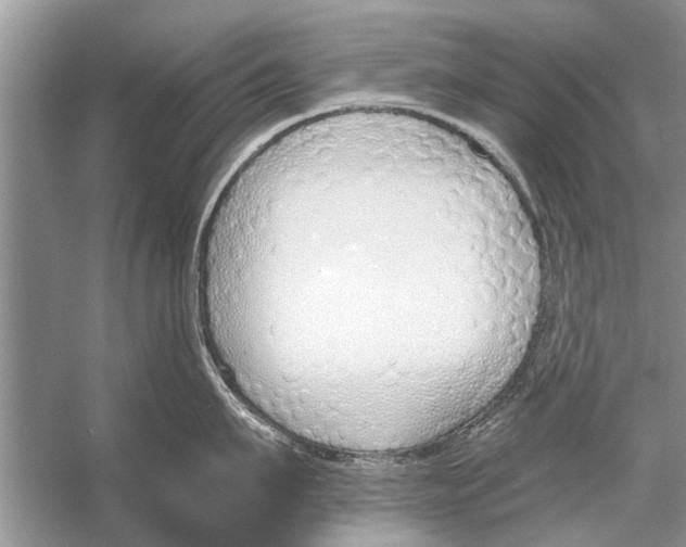 X0000056000911200509162314