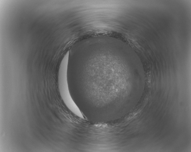 X0000056000916200509162313