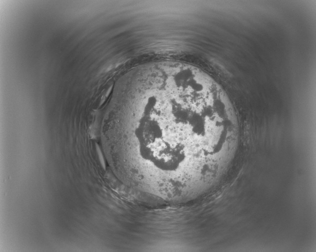 X0000056000917200509162314