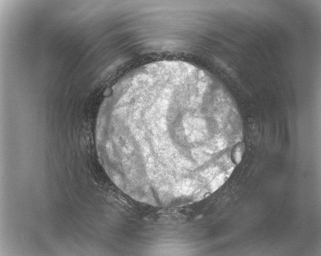 X0000056000918200509162314