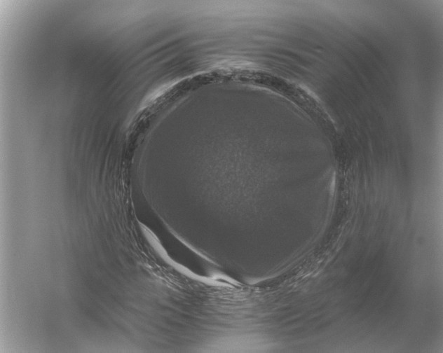 X0000056000919200509162314