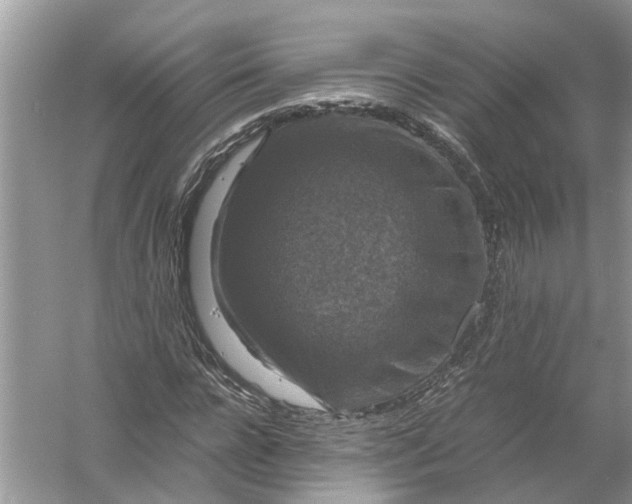 X0000056000920200509162314