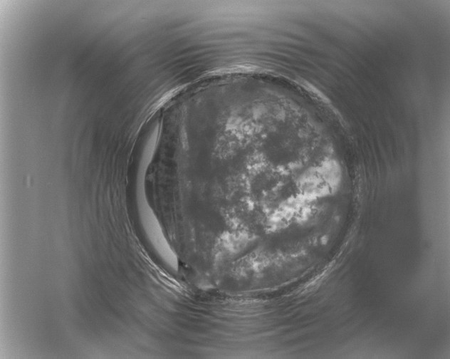 X0000056000921200509162314