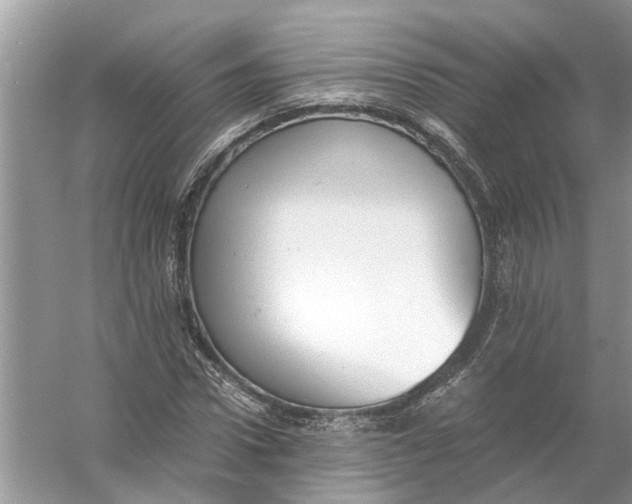 X0000056000922200509162314