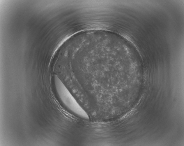 X0000056000925200509162314