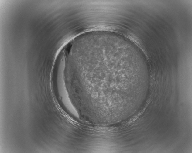 X0000056000928200509162314