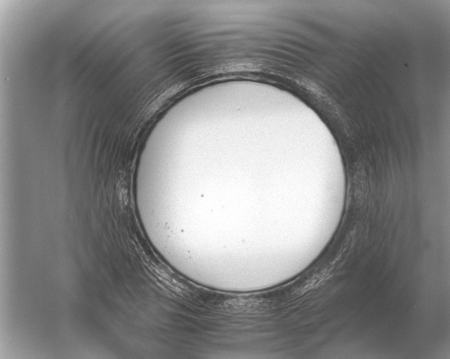 X0000056000929200509162314