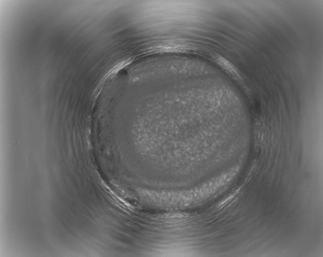 X0000056000930200509162314