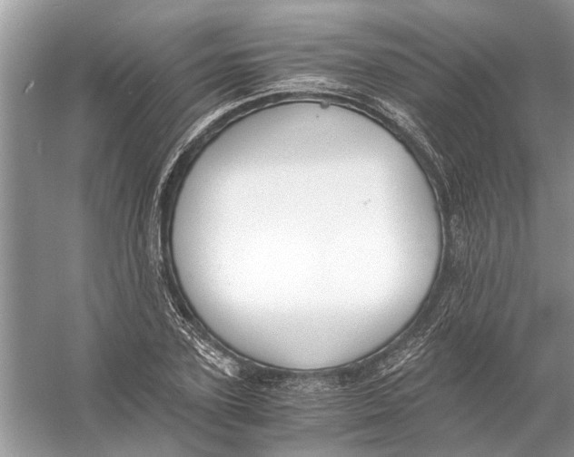 X0000056000931200509162314