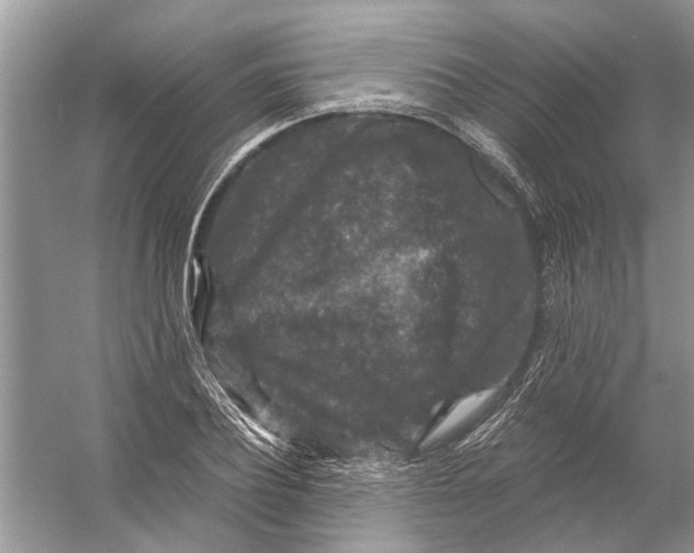 X0000056000932200509162314