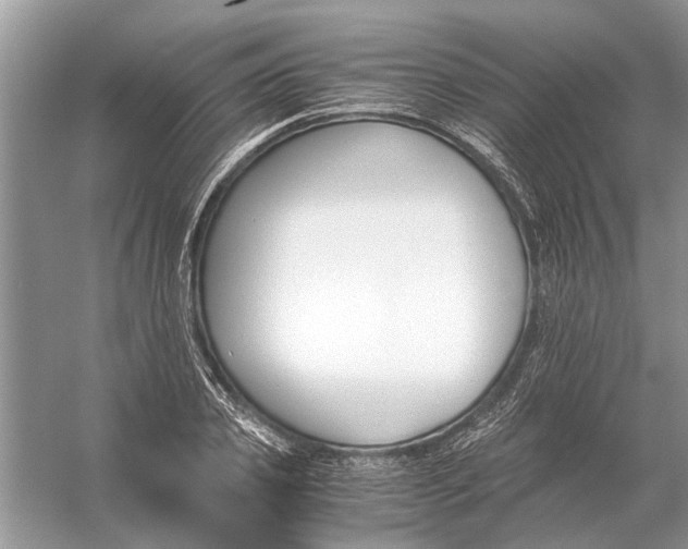 X0000056000933200509162314