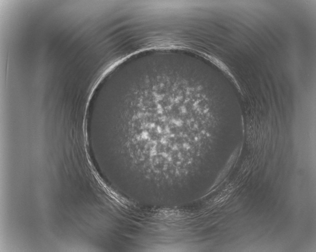 X0000056000935200509162314