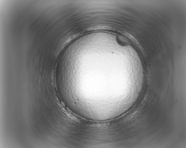 X0000056000937200509162314