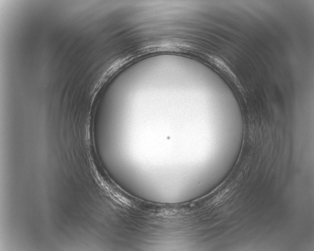 X0000056000938200509162314