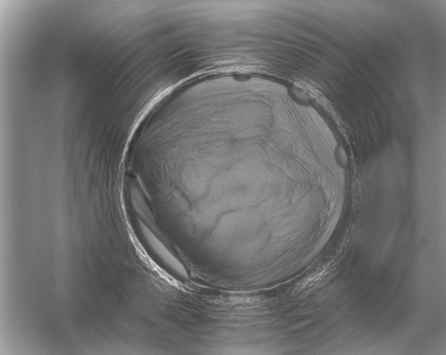 X0000056000941200509162314