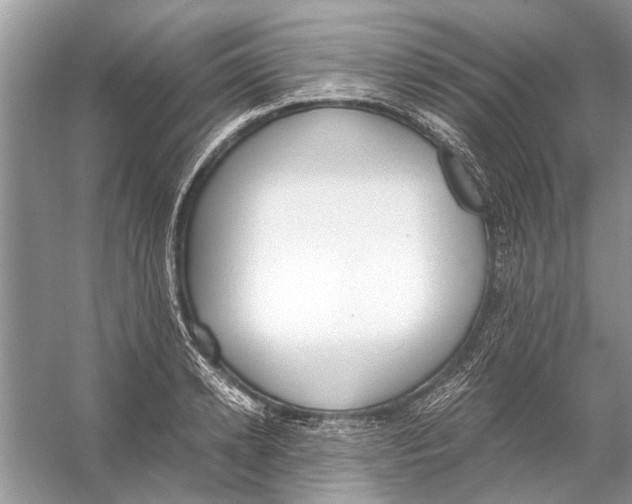 X0000056000942200509162314