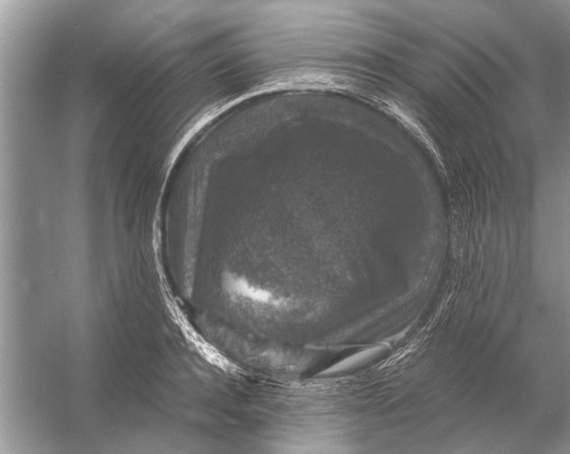 X0000056000944200509162314