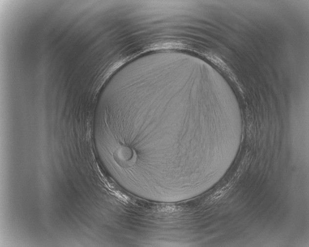 X0000056000945200509162314