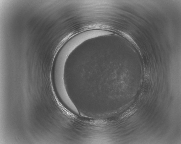 X0000056000946200509162314