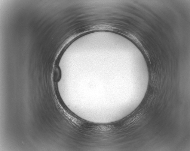 X0000056000947200509162314