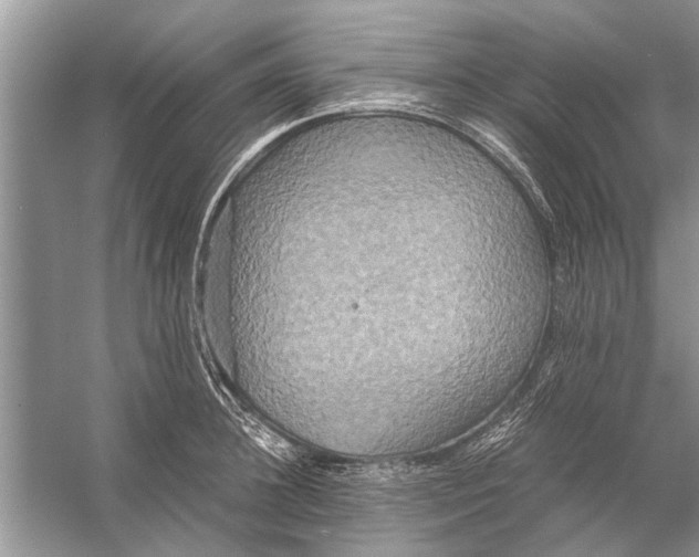 X0000056000948200509162314