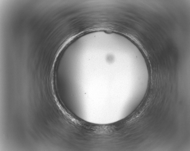 X0000056000949200509162314