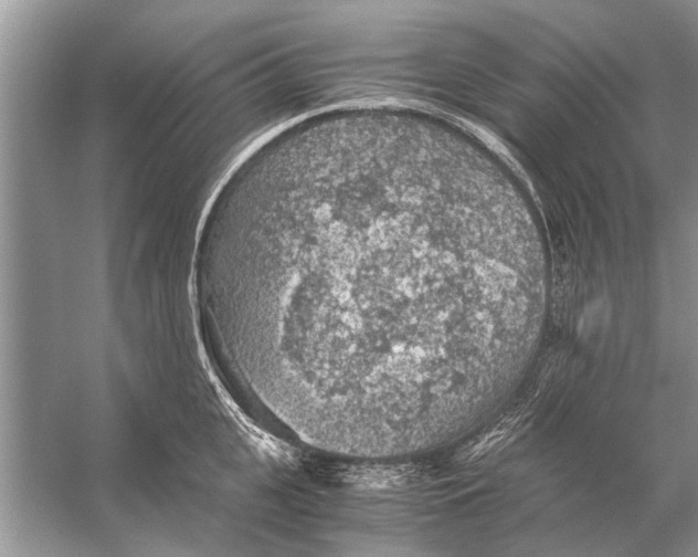 X0000056000951200509162314