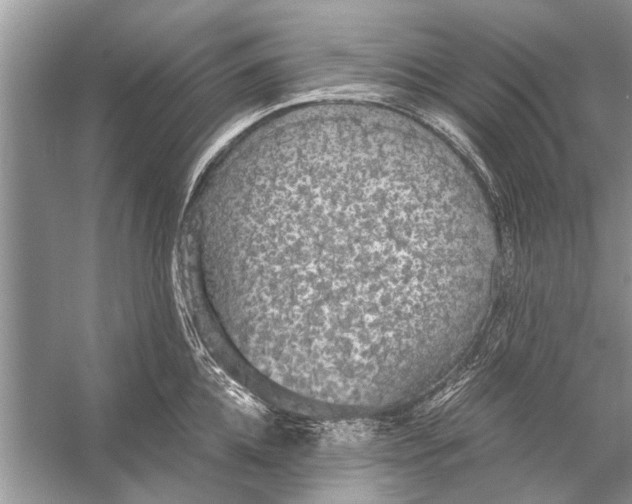 X0000056000952200509162314