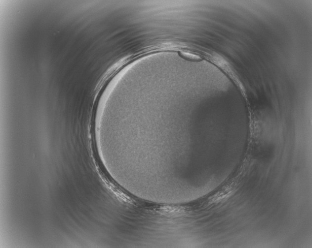 X0000056000954200509162314