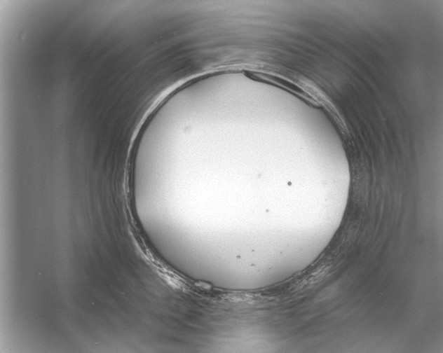 X0000056000956200509162314