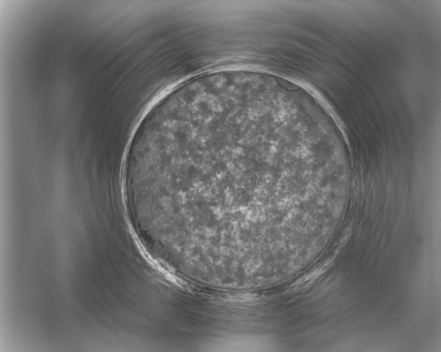 X0000056000957200509162314