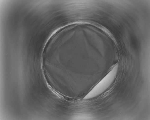 X0000056000958200509162314