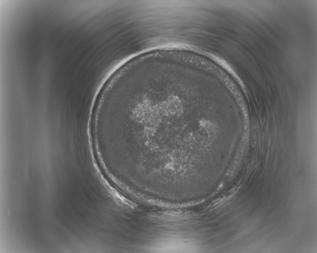 X0000056000959200509162314