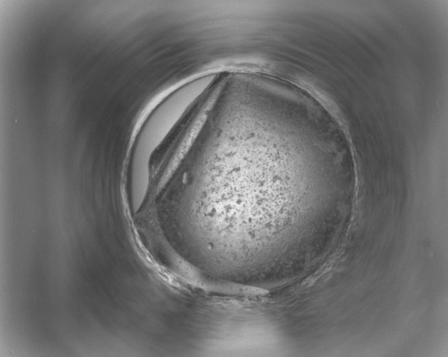 X0000056000960200509162314