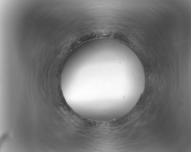 X0000056000961200509162313