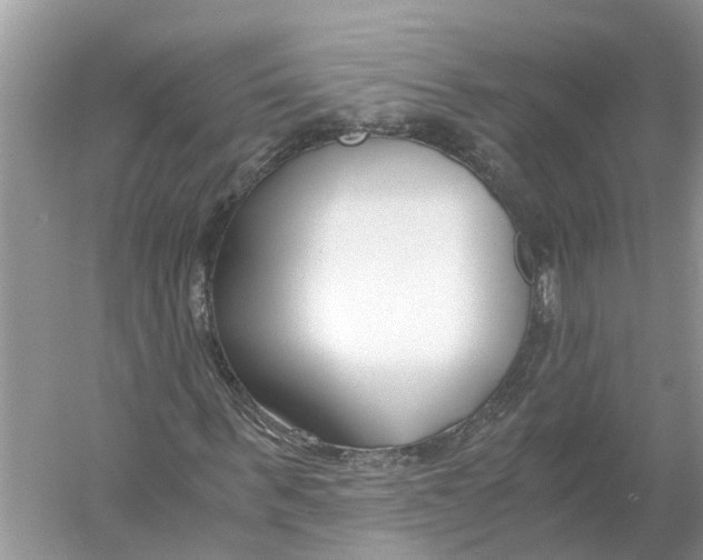 X0000056000963200509162313