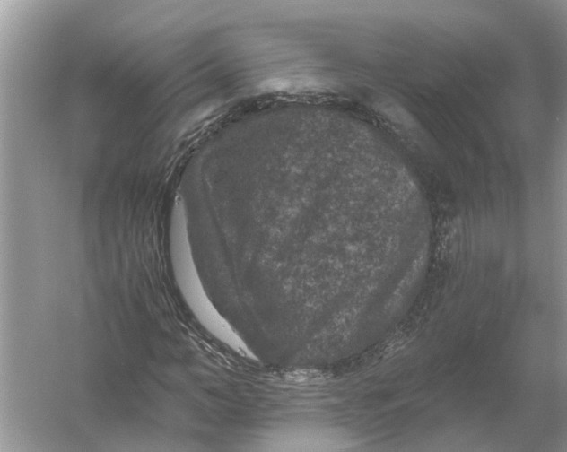 X0000056000966200509162313