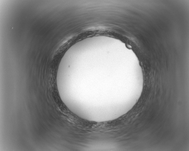 X0000056000967200509162313