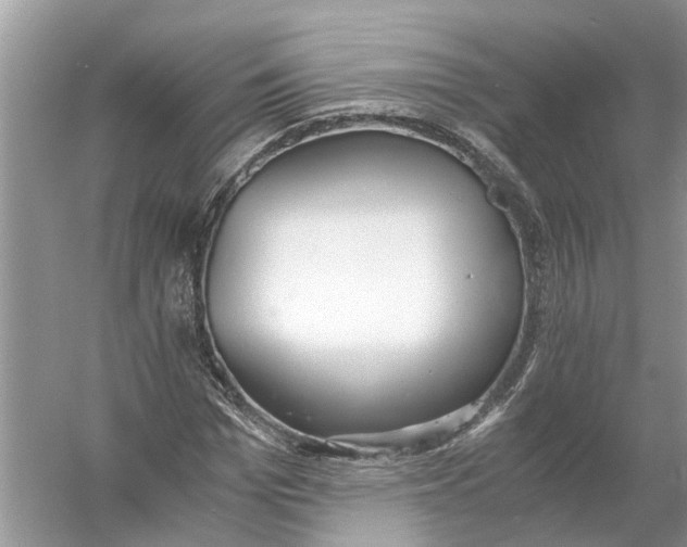 X0000056000969200509162313