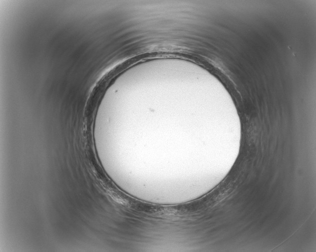 X0000056000971200509162313