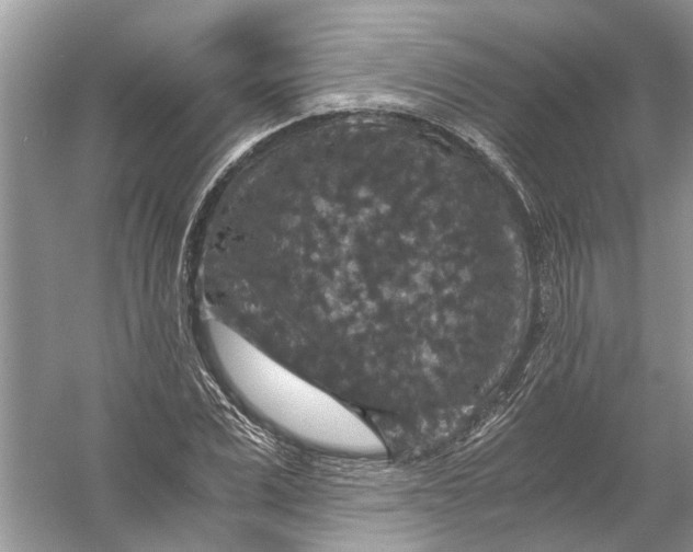 X0000056000975200509162313